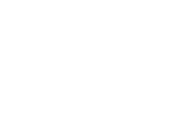 全数