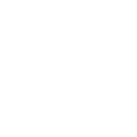 全数