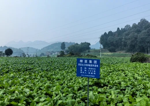 magic88官网— 如魔术般变幻的赛事,尽在你的掌控之中